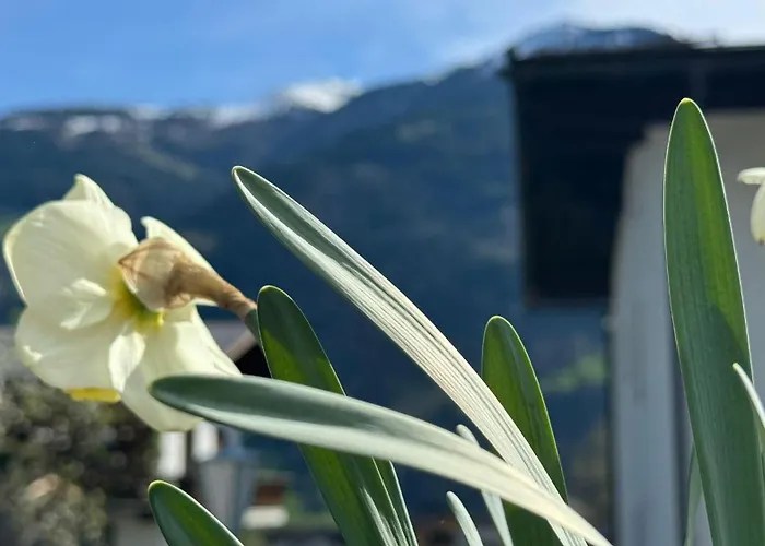 Heim Appartamento Fügen